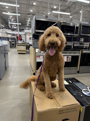 Photo from customer review