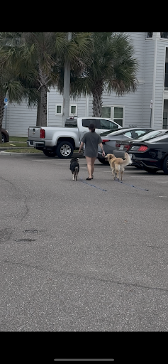 Photo from customer review