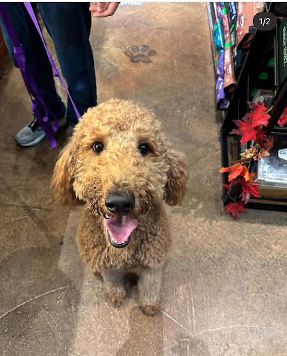 Photo from customer review