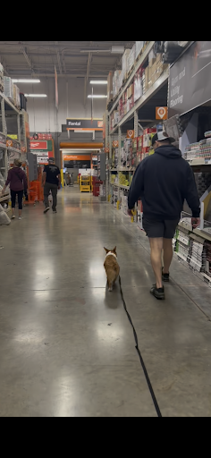 Photo from customer review