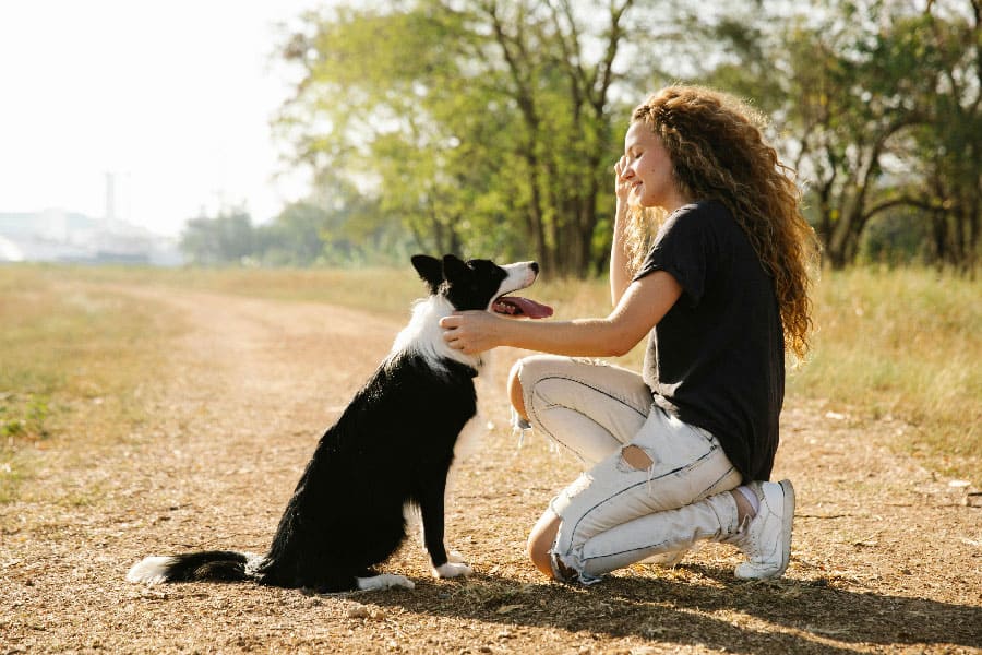 A dog trainer in Miami, FL helping a border collie learn to sit