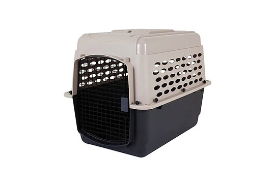 A dog training kennel for the services we provide in Miami, FL