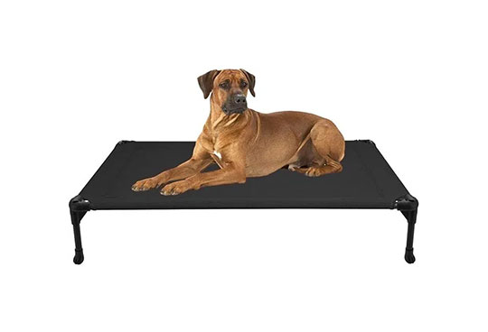 A raised dog training bed for the services we provide in Miami, FL