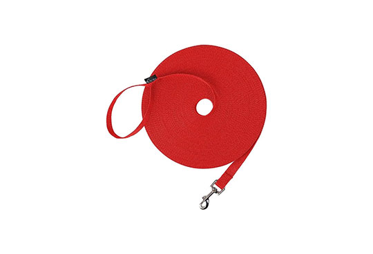 A dog training leash for the services we provide in Miami, FL