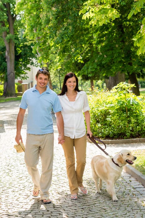 Parents walking their dog calmly after hiring a dog trainer in Miami, FL.
