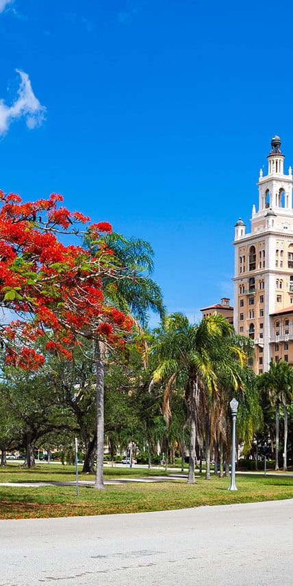 Beautiful town square, ideal for dog training in Coral Gables, FL.