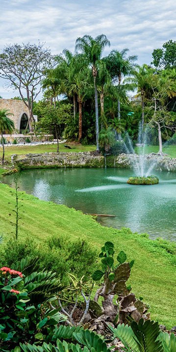 A beautiful field and pond, ideal for dog training in Pinecrest, FL.