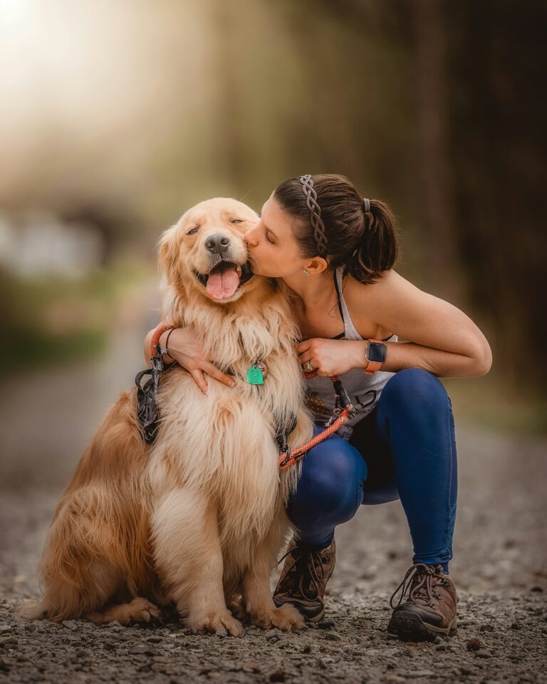 dog training Miami FL